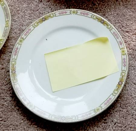 N2877 Dinner Plate