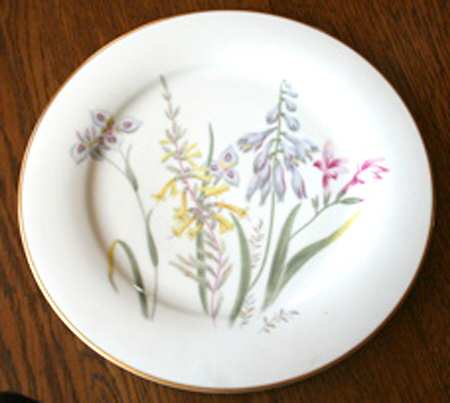N3069 Dinner Plate