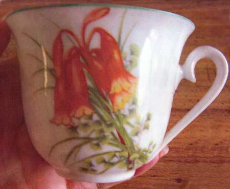 N2919 Flat Cup