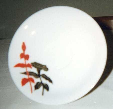 N3165 Saucer