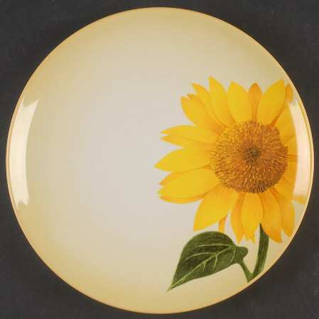 Colorwave Mustard Accent Salad Plate by Noritake