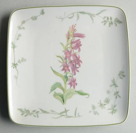 Country Diary Square Salad Plate