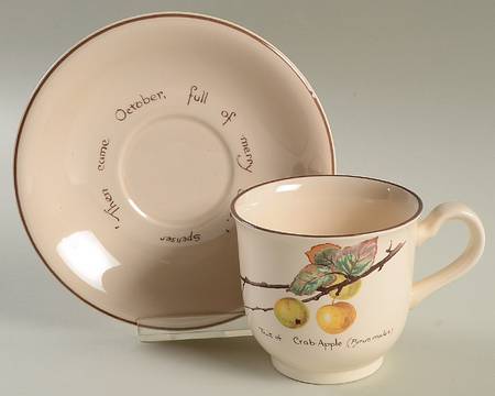 Country Diary Flat Cup & Saucer Set