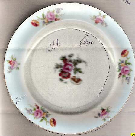 N3354 by Noritake