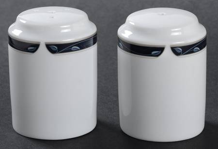 Perennial Blue Salt & Pepper Set by Nikko