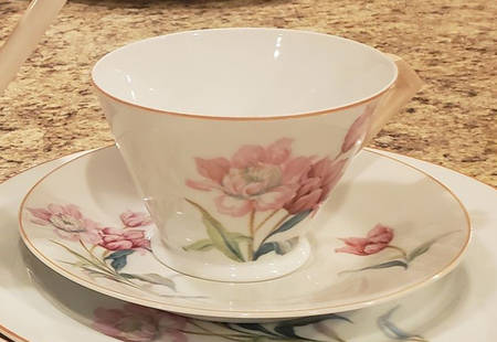 N3372 Flat Cup & Saucer Set