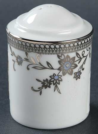 Hayden Salt Shaker