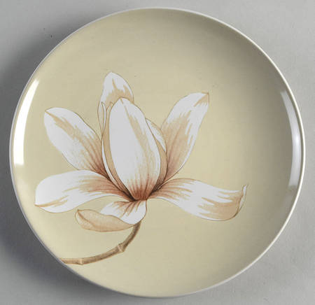 Colorwave White Accent Salad Plate by Noritake