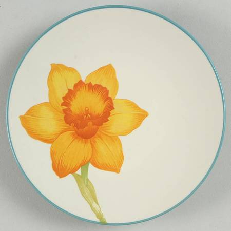 Colorwave Turquoise Appetizer Plate