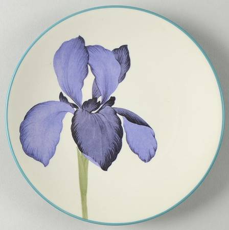 Colorwave Turquoise Appetizer Plate