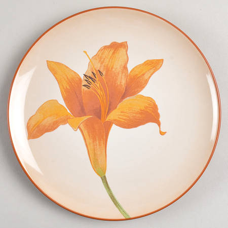 Colorwave Terra Cotta Accent Salad Plate