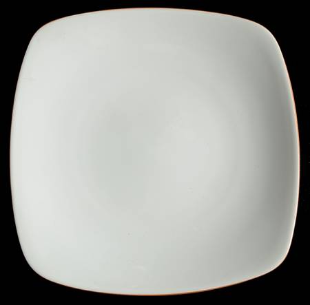 Colorwave Terra Cotta Square Dinner Plate
