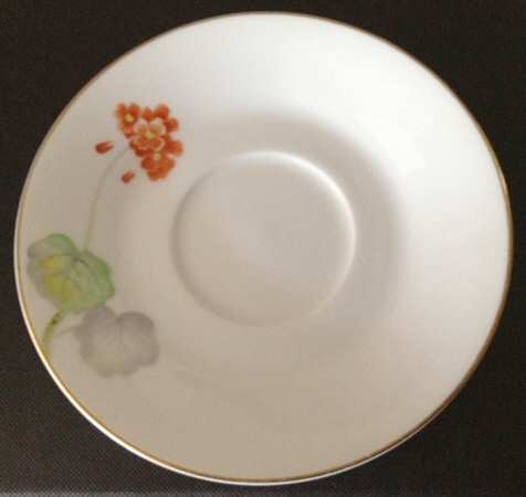 N3990 Saucer