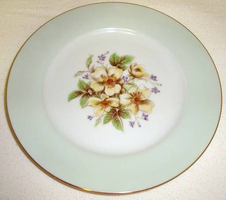 N3662 by Noritake