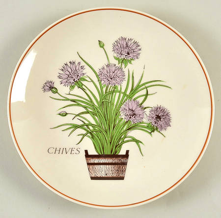 Herbs Salad Plate