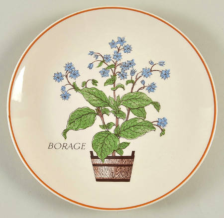 Herbs Salad Plate