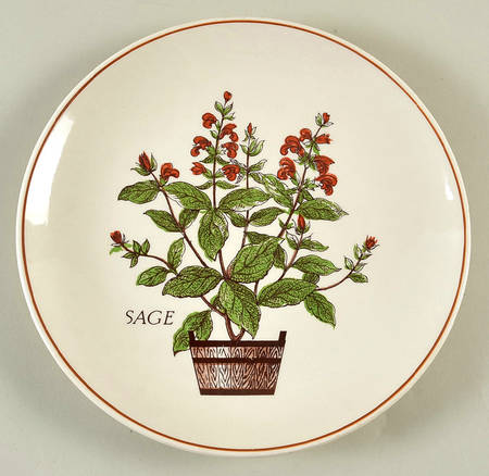 Herbs Salad Plate