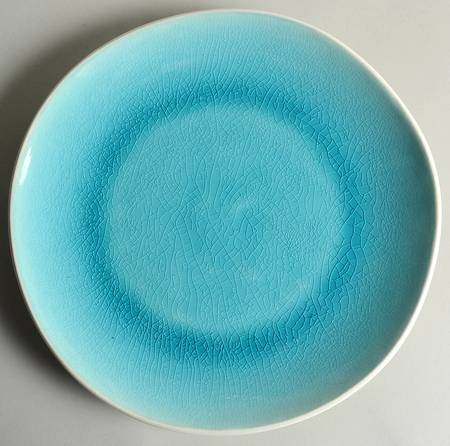 NMH1 Turquoise by Nicole Miller Home