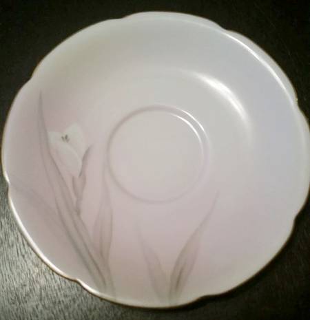N4273 Saucer
