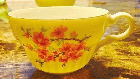 NYB5 Flat Cup