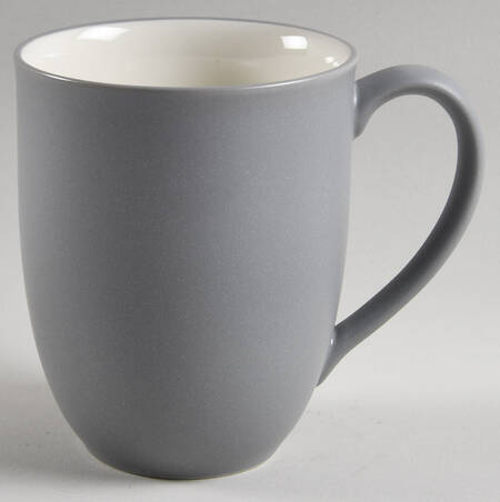 Colorwave Slate Mug