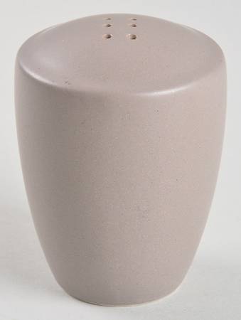 Colorwave Slate Salt Shaker