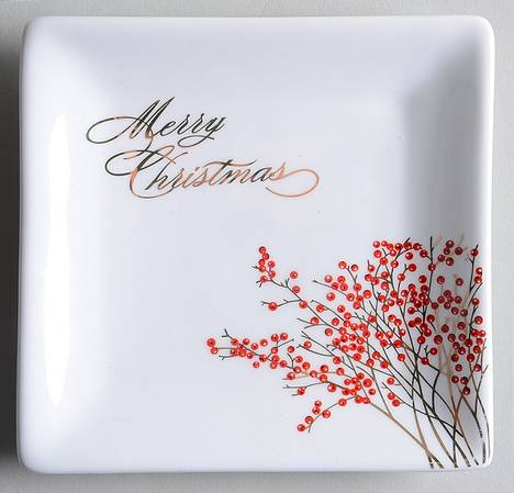 Red Berry Square Appetizer Plate