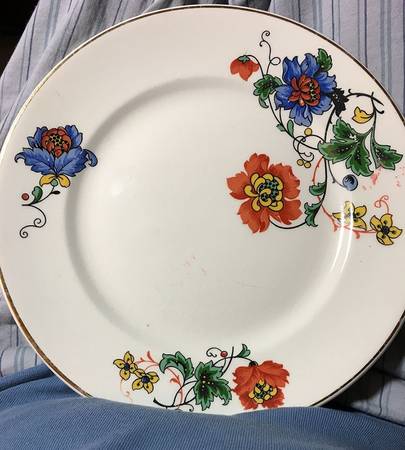 527 Dinner Plate