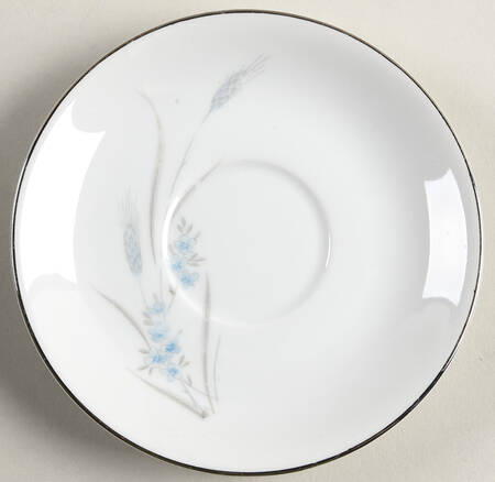 NRA8 Saucer by Nagara