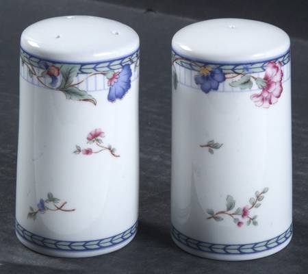Blue Lattice Salt & Pepper Set