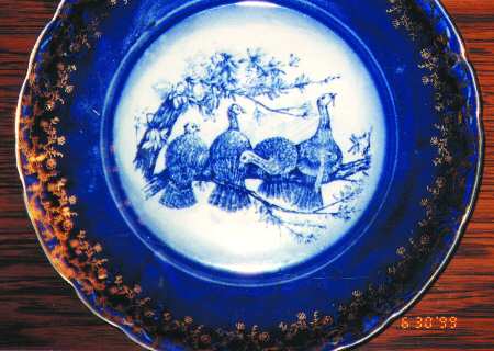 OLI1 Dinner Plate