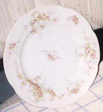 OSG25 Dinner Plate