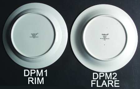 Sandstone Dinner Plate