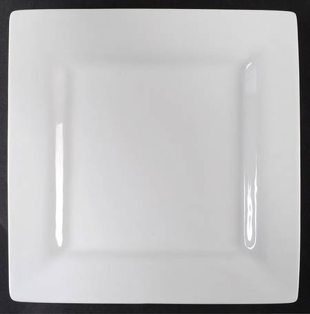 Company's Coming Square Dinner Plate by Over And Back