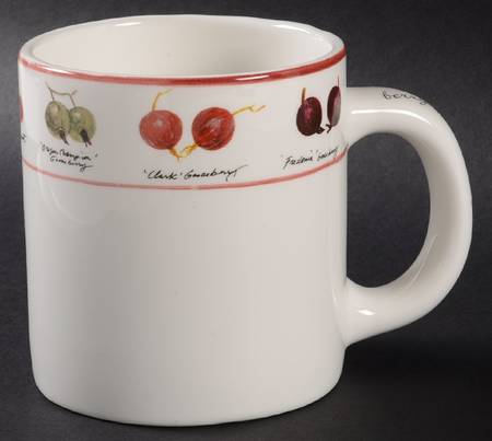 Berry Fields Mug
