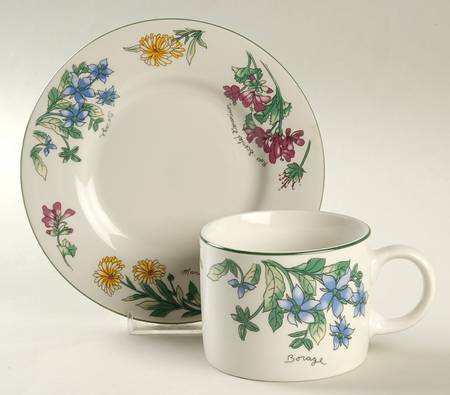 Geranium Flat Cup & Saucer Set