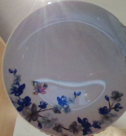OXT1 Dinner Plate