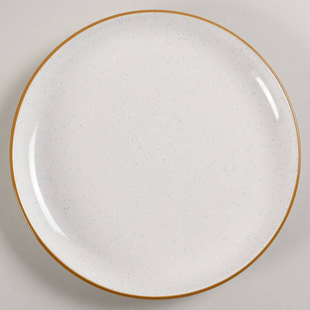 Options Dinner Plate