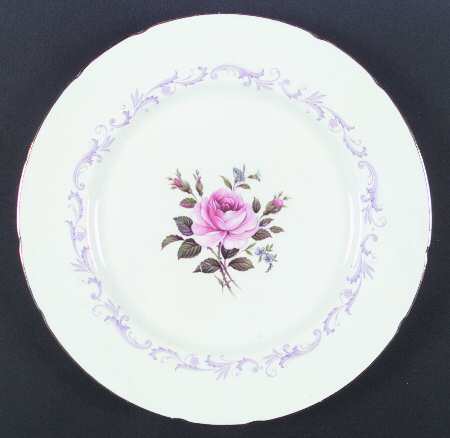 Century Rose by Paragon