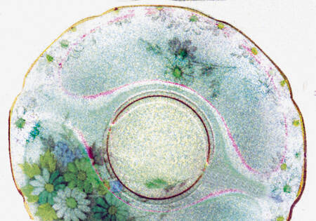 Cineraria (959861-1) Saucer
