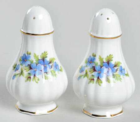 Forget Me Not Salt & Pepper Set