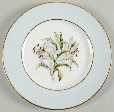 Lilium by Paragon