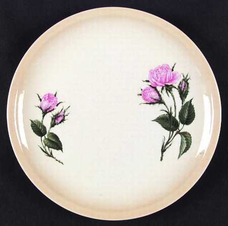 PCP38 Dinner Plate