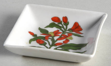 Herbier 2" Square Dish