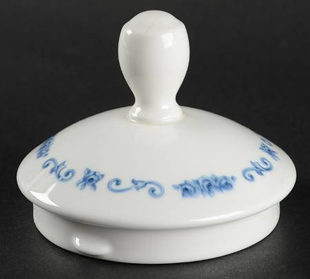 Blue Organdy Lid for Coffee Pot