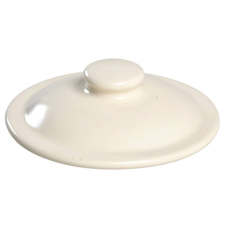 Blueberry Lid for Cookie Jar