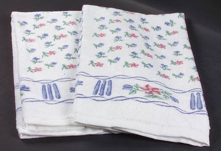 Bonnie Brae Cloth Dish Towel - Set of 2