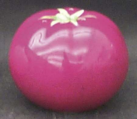 Farmers Market Figural Salt Shaker