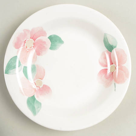 Garland Blush Salad Plate by Pfaltzgraff