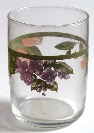 Garden Party (Garden Impressions) 6 Oz Glassware Juice by Pfaltzgraff